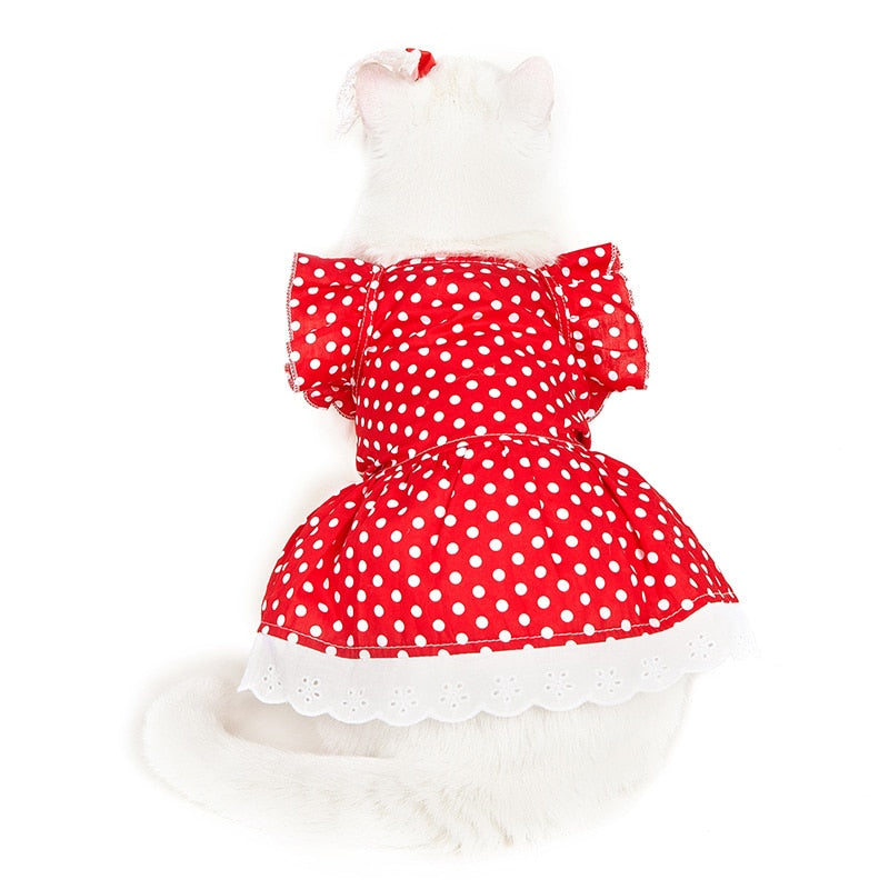 Polka Dot Clothes for Cats - Clothes for cats