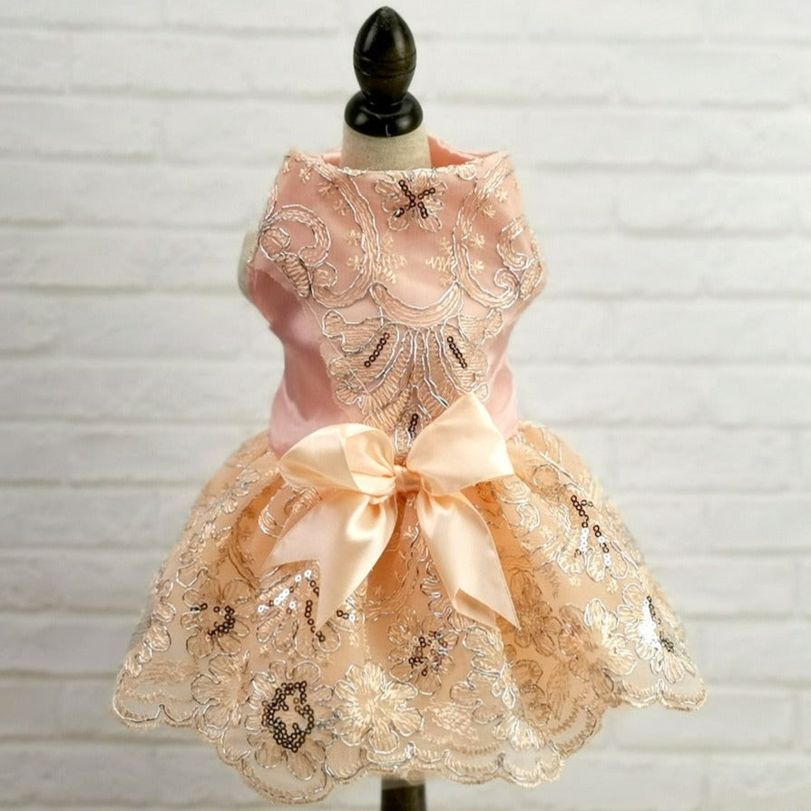 Princess Cat Dress - Pink / XS
