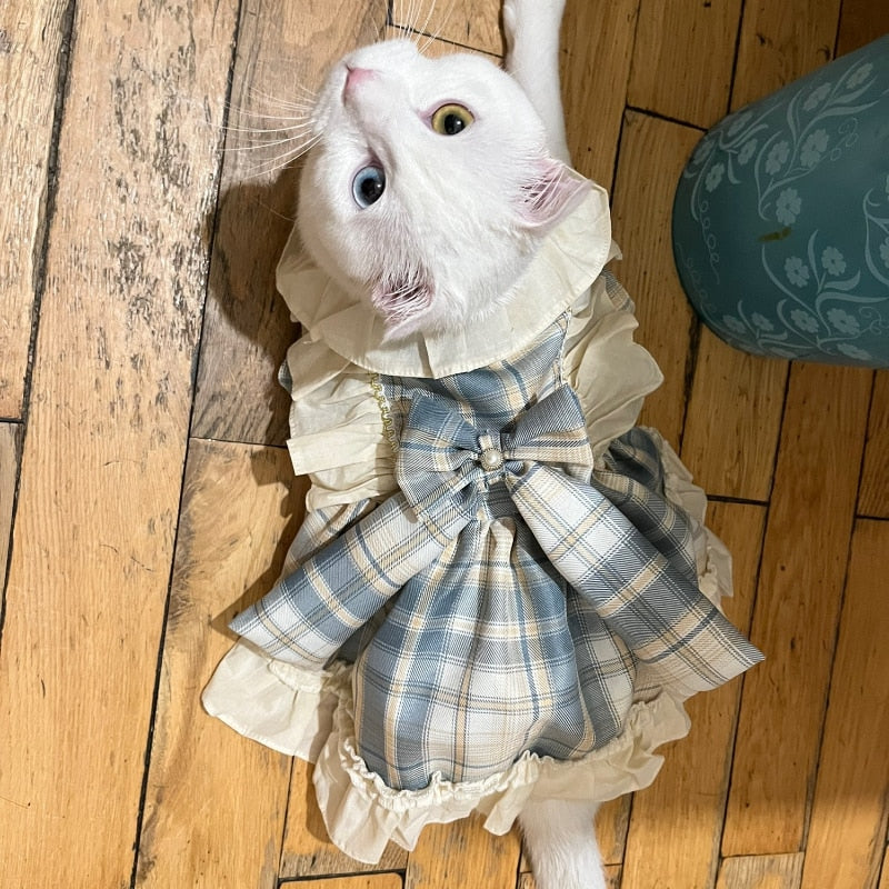 Princess Clothes for Cats - Clothes for cats