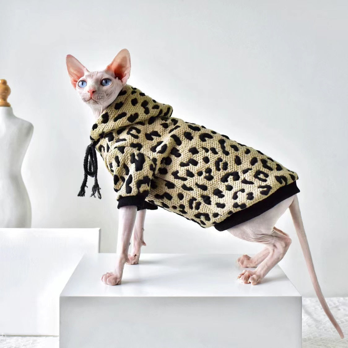 Pullover Clothes for Cats - Coffee Color / XS - Clothes for