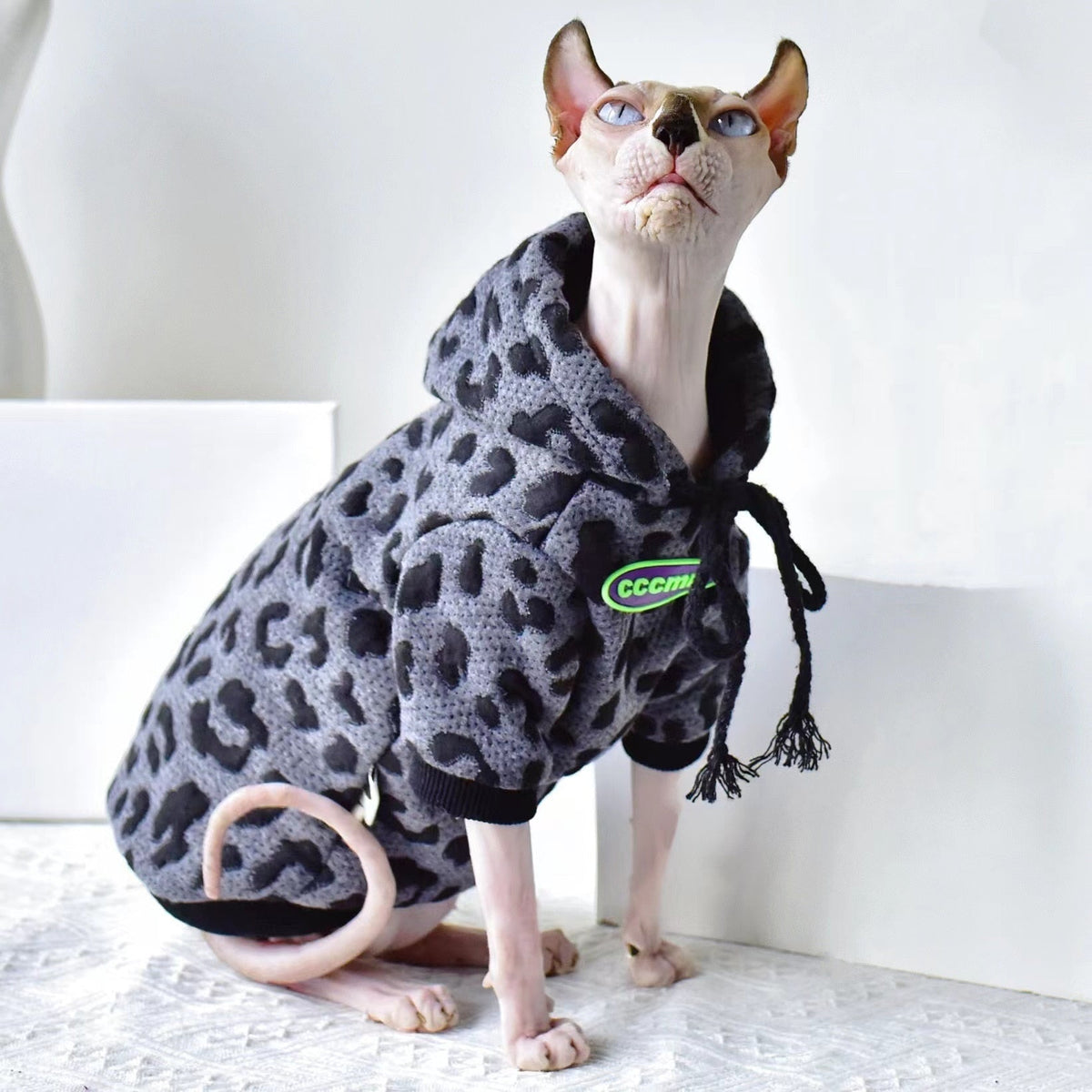 Pullover Clothes for Cats - Grey / XS - Clothes for cats