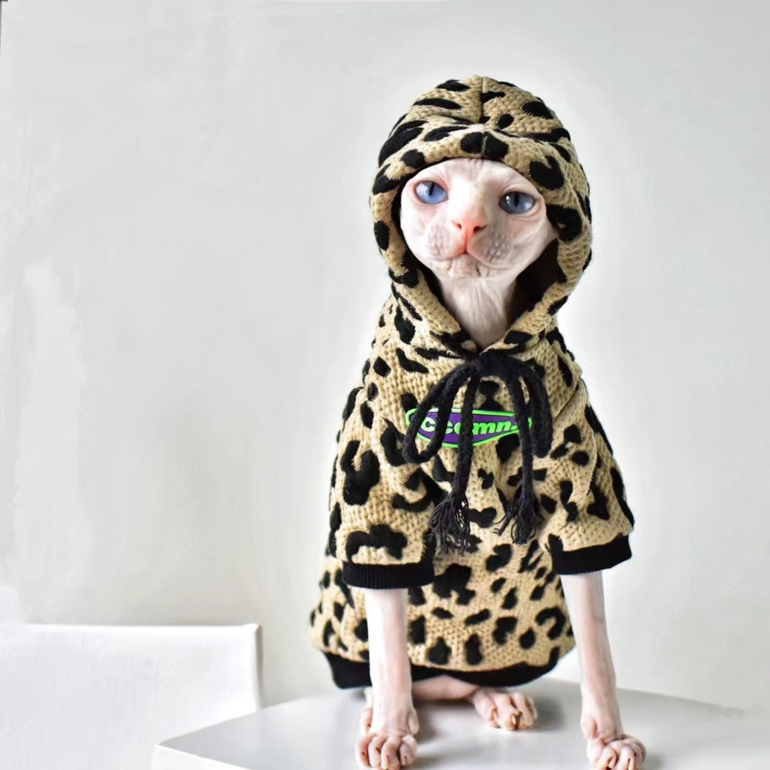 Pullover Clothes for Cats - Clothes for cats