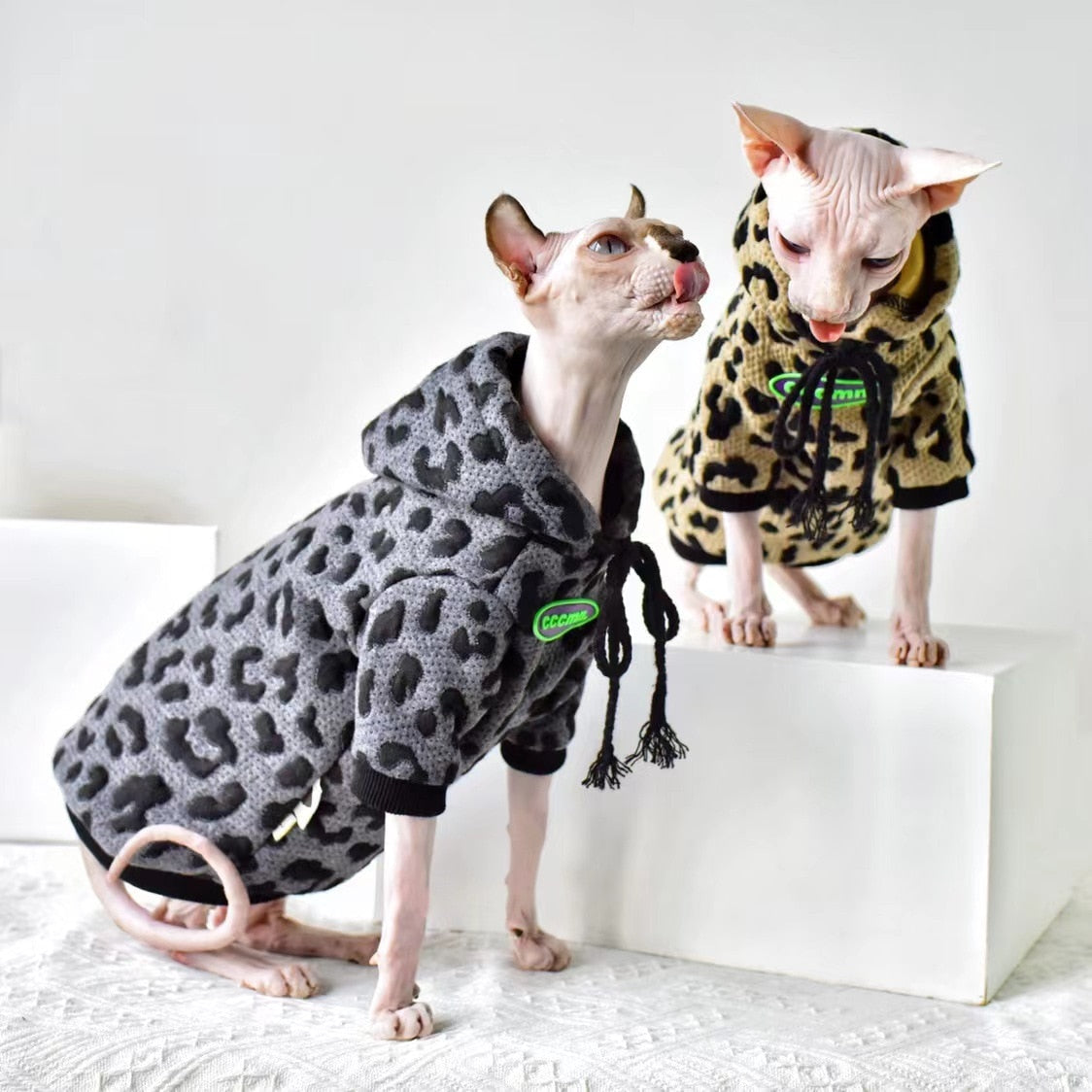 Pullover Clothes for Cats - Clothes for cats