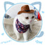 Puss in Boots Costume for Cats