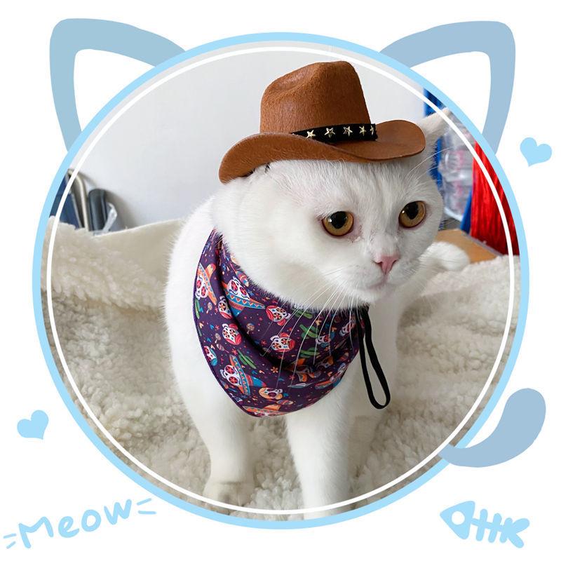 Puss in Boots Costume for Cats