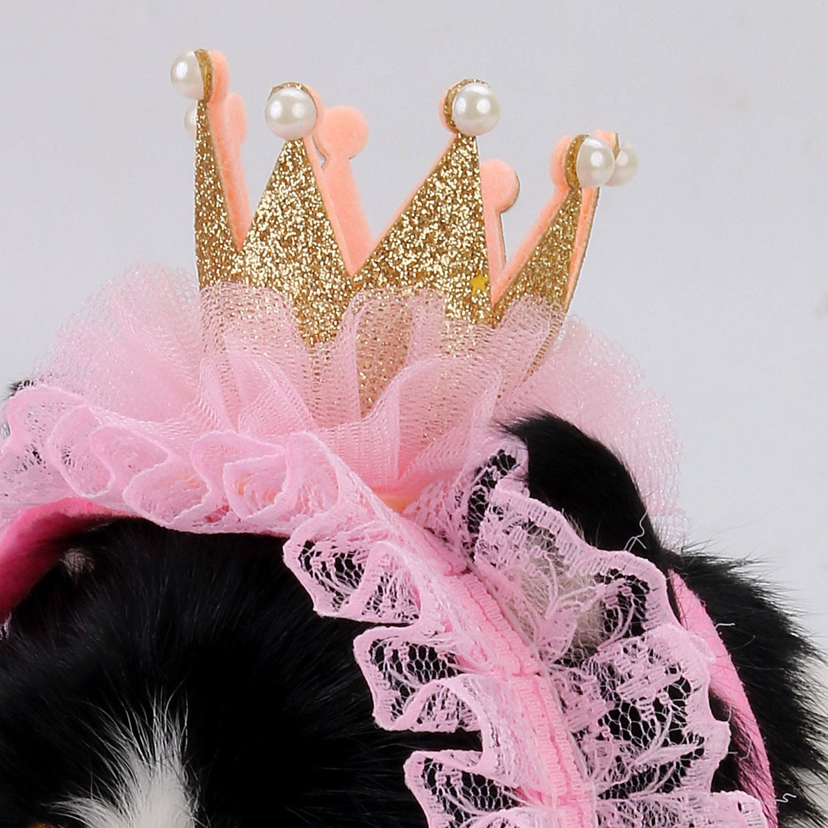 Queen Hat for Cats - Hat for Cats