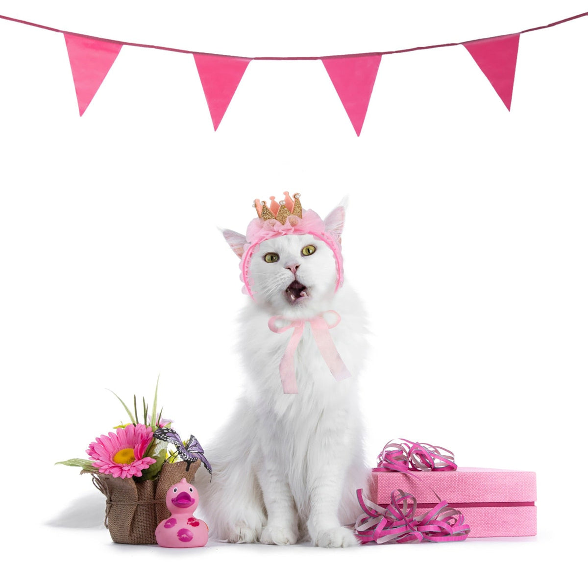Queen Hat for Cats - Hat for Cats