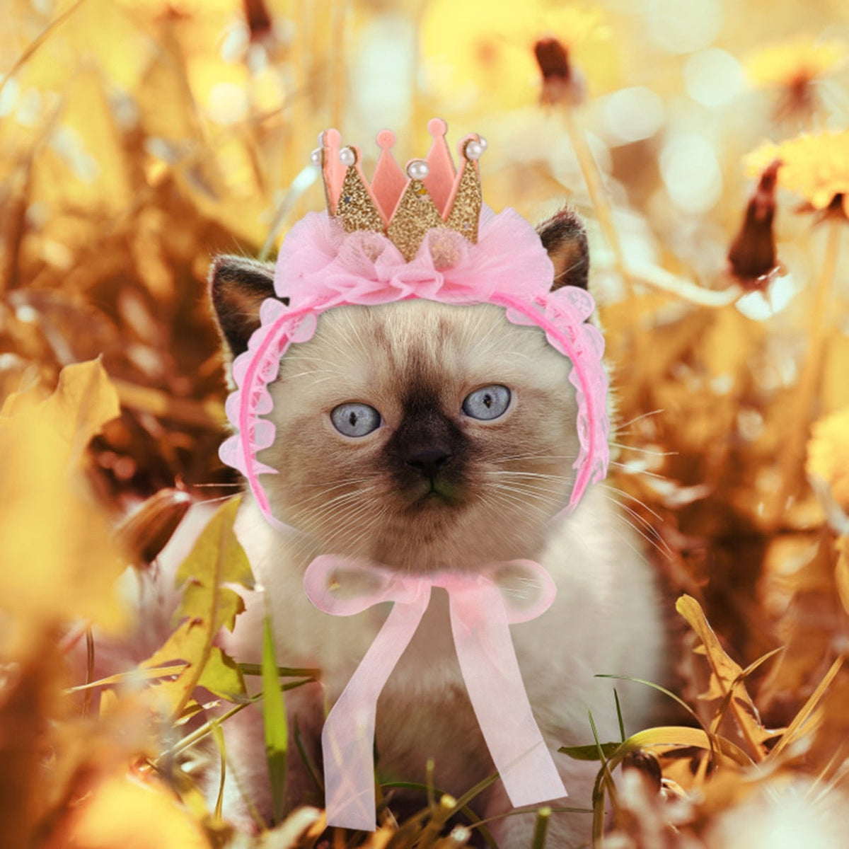 Queen Hat for Cats - Hat for Cats
