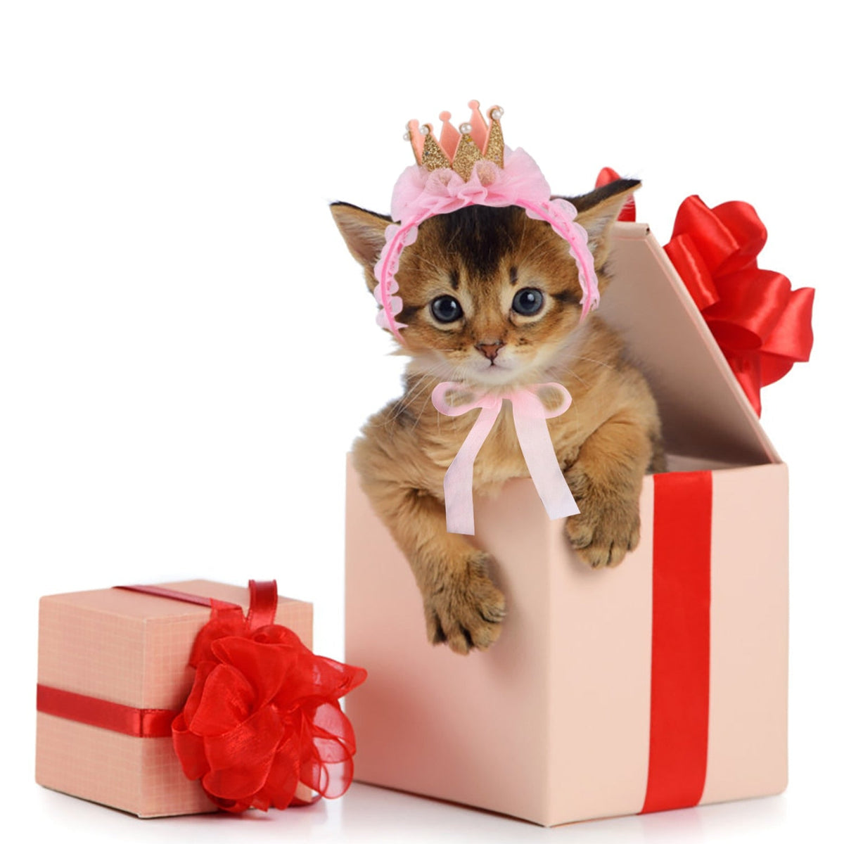 Queen Hat for Cats - Hat for Cats