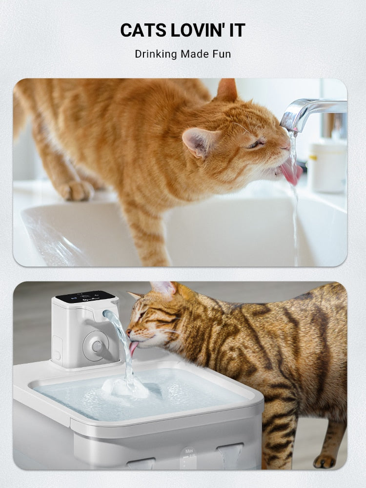 Quiet Cat Water Fountain - Fursink-Filter Kit - Cat water