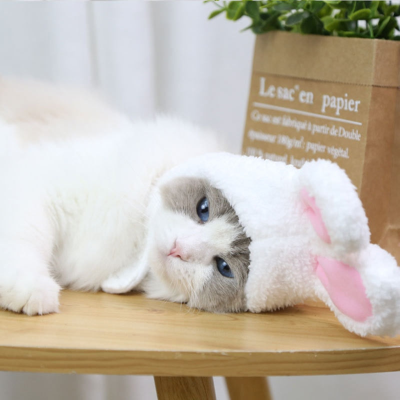 Rabbit Hat for Cats - Hat for Cats