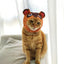 Raccoon Costume for Cat