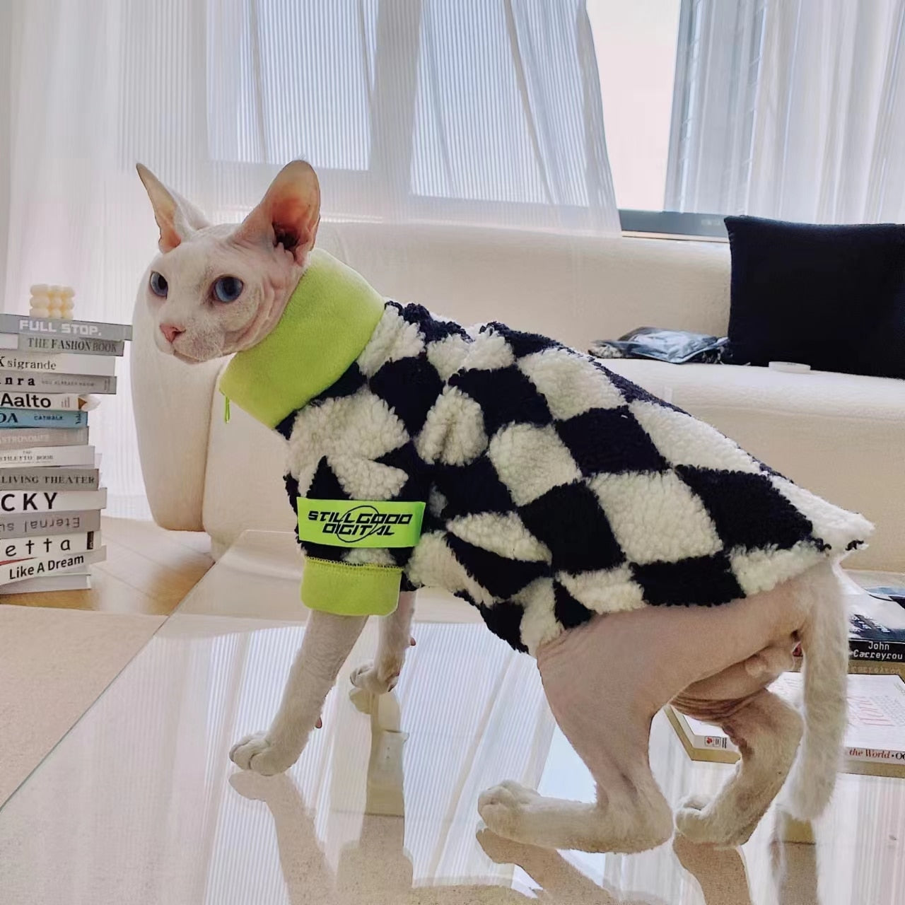 Racer Clothes for Cats - Clothes for cats