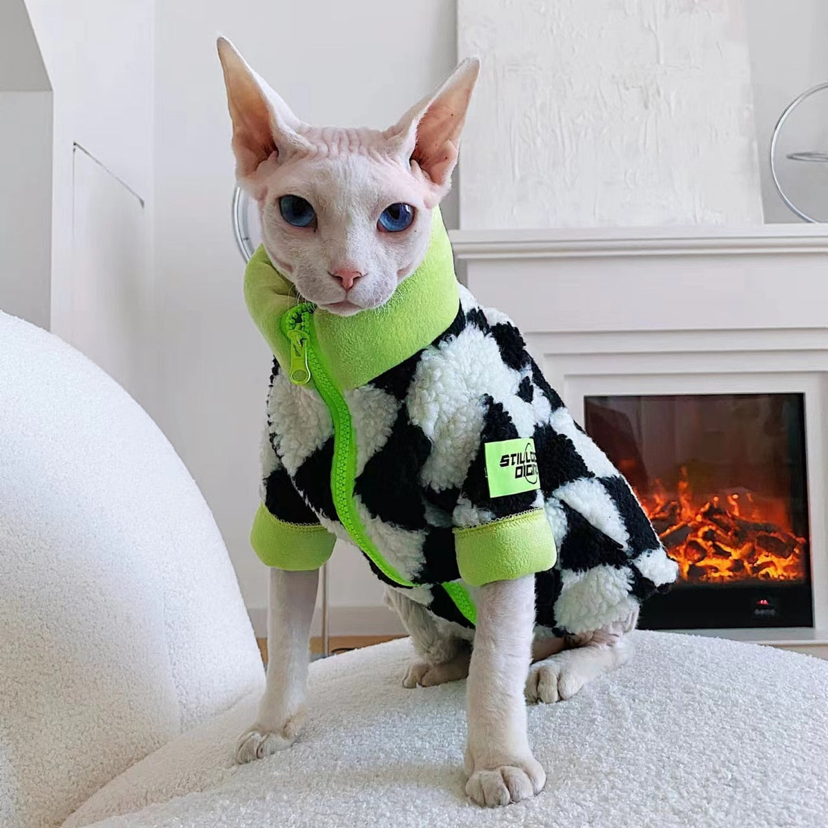 Racer Clothes for Cats - Clothes for cats