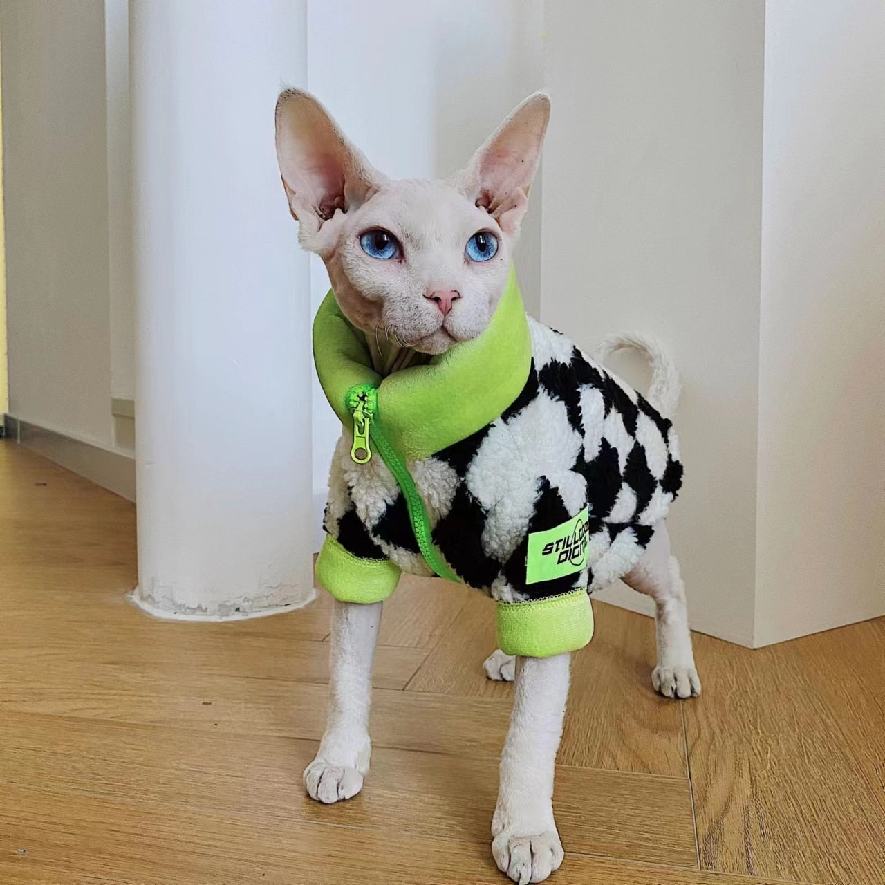 Racer Clothes for Cats - Clothes for cats