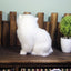 Realistic White Cat Plush