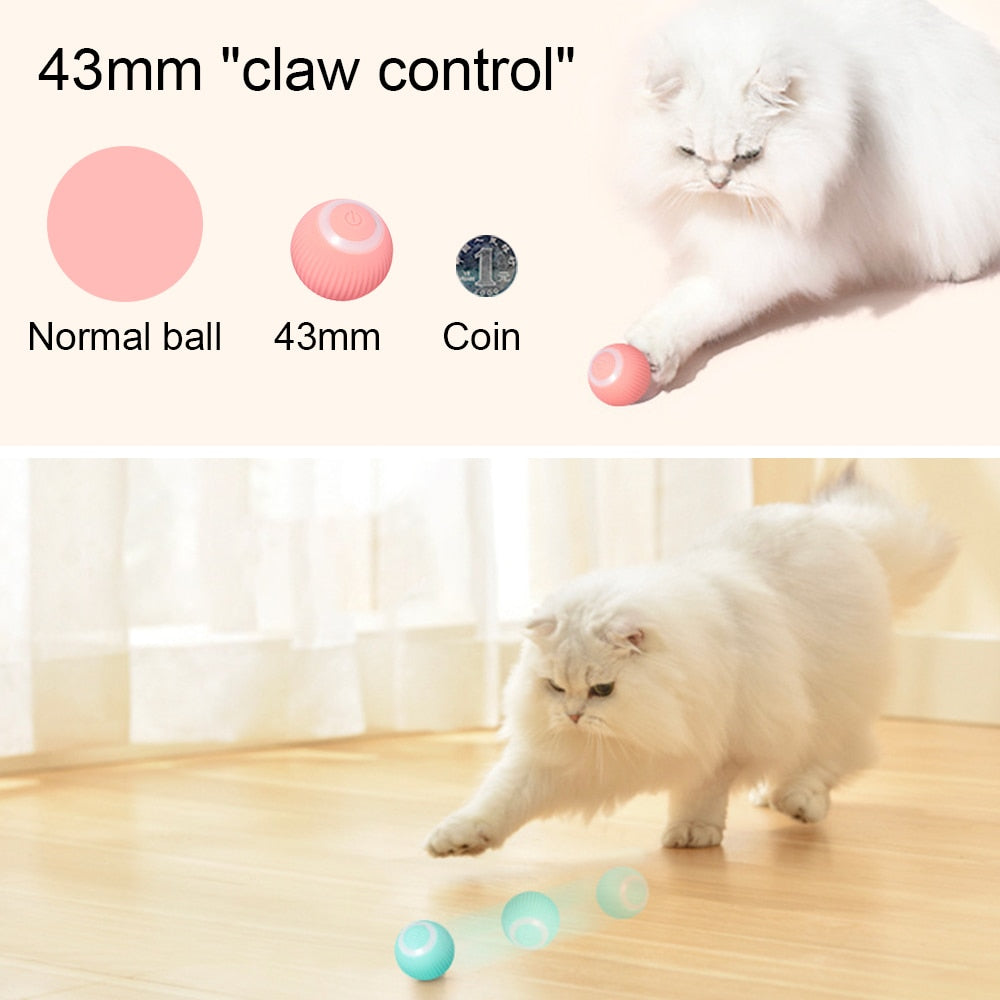 Rolling Cat Toy - Cat Toys