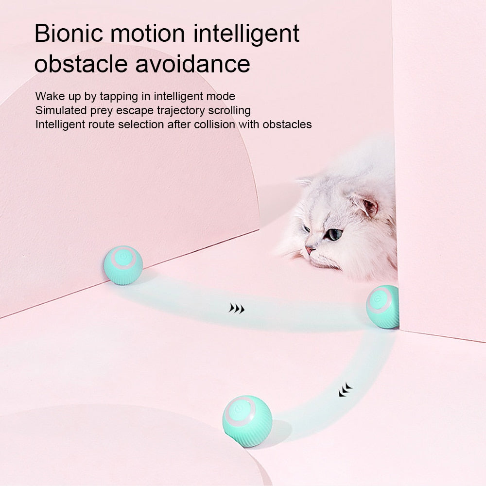 Rolling Cat Toy - Cat Toys
