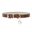 Safe Cat Collars - Brown / 1.0x25cm - Cat collars