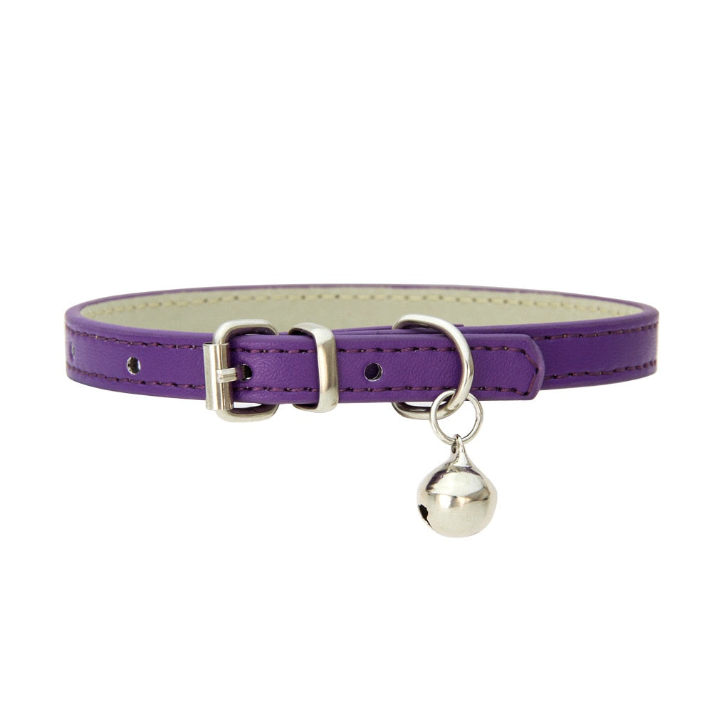 Safe Cat Collars - Violet / 1.0x25cm - Cat collars
