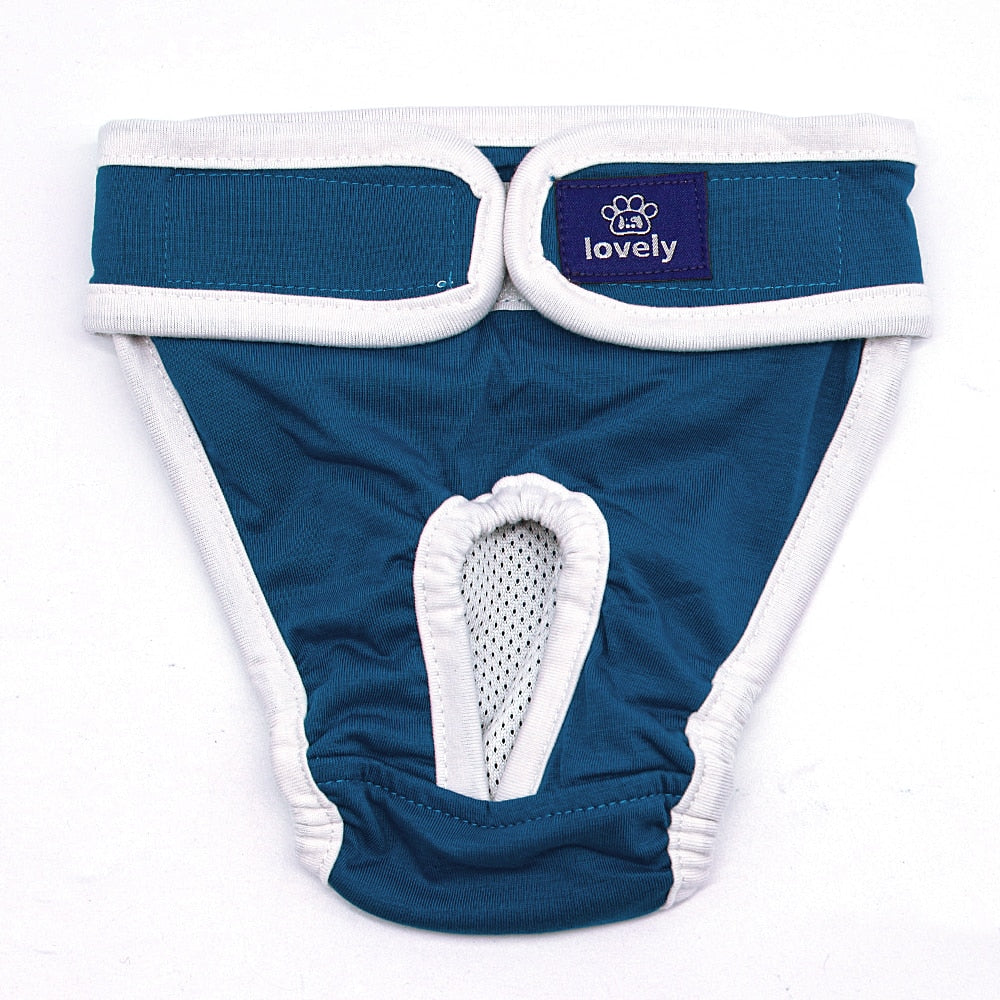 Sanitary Underwear for Cats - Blue / S - Underwear for Cats