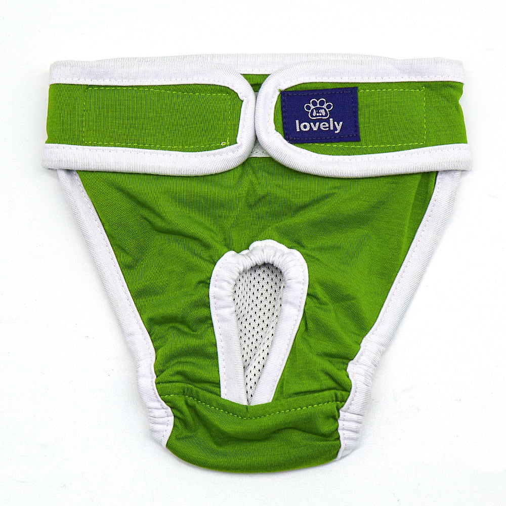 Sanitary Underwear for Cats - Green / S - Underwear for Cats
