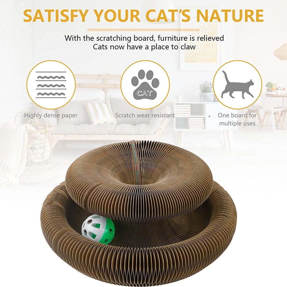 Scratcher Cat Toy - Cat Toys