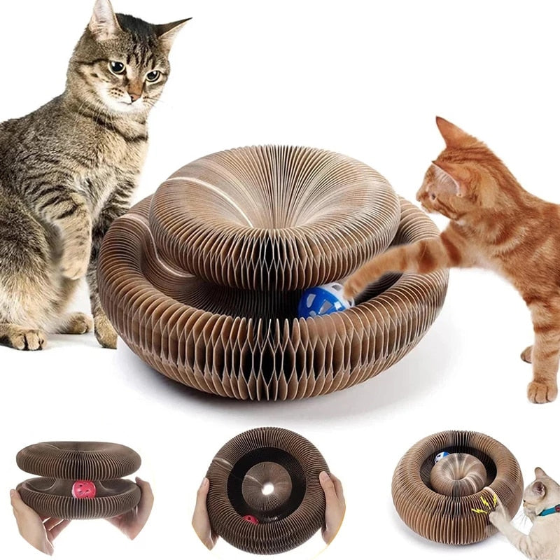 Scratcher Cat Toy - Cat Toys