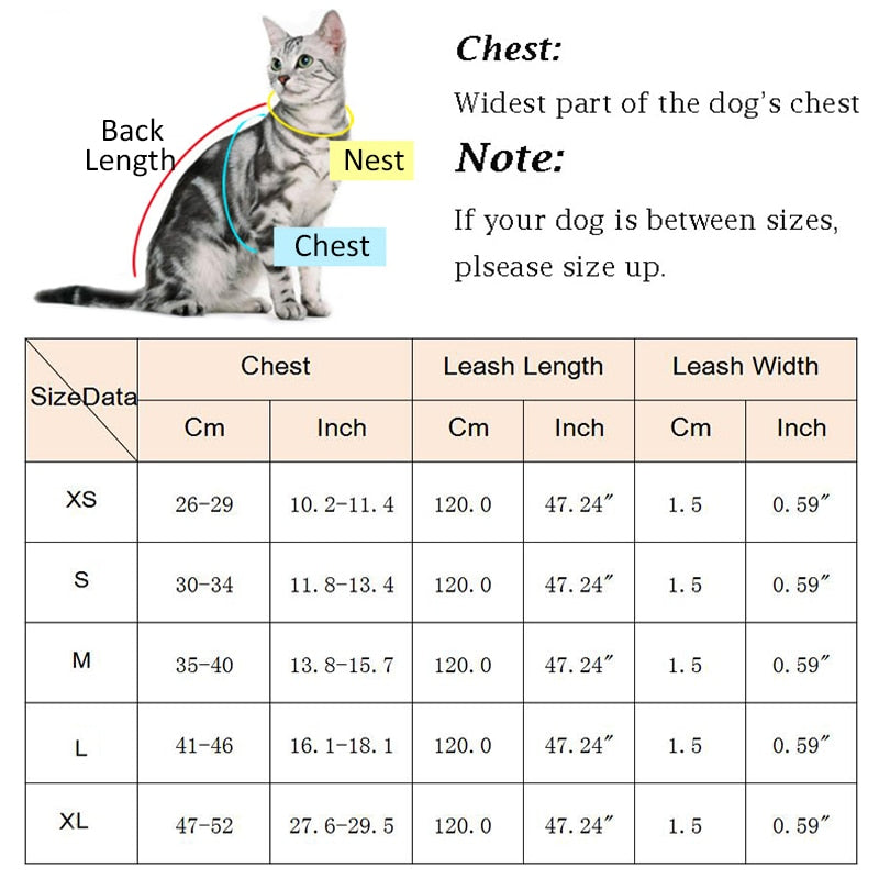 Secure Cat Harness