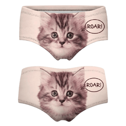 Cat Knickers With a Ginger Kitty Face and Ears. Cute Panties Unique  Underwear 