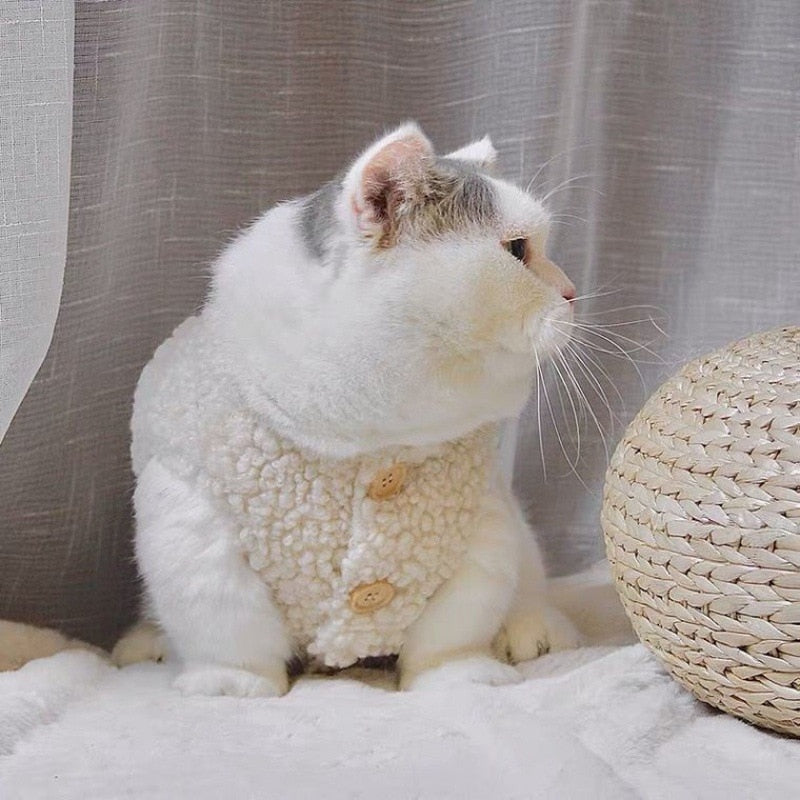 Sherpa Jacket Clothes for Cats - Apricot / S - Clothes for