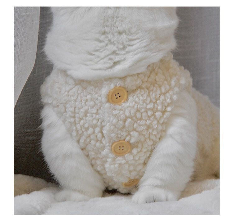 Sherpa Jacket Clothes for Cats - Clothes for cats