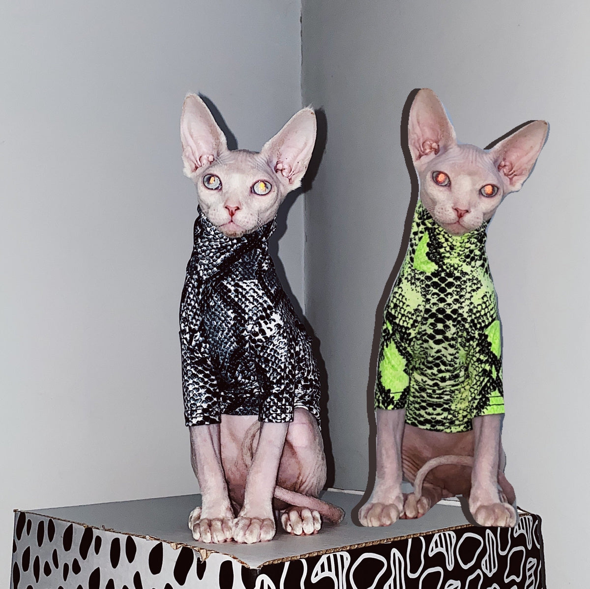 Shirts for Sphynx Cats - Shirts for Cats