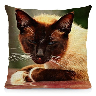 Siamese Cat Pillow