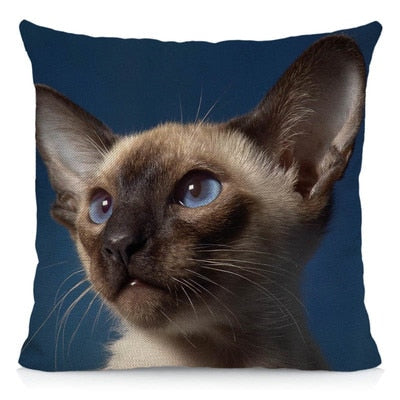 Siamese Cat Pillow - 40X40cm / Blue