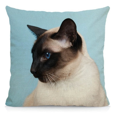 Siamese Cat Pillow - 40X40cm / Light Blue