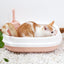 Siftable Cat Litter Box - Cat litter Box
