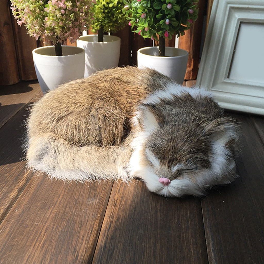 Sleeping Realistic Cat Plush - Wild