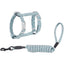 Small Cat Harness