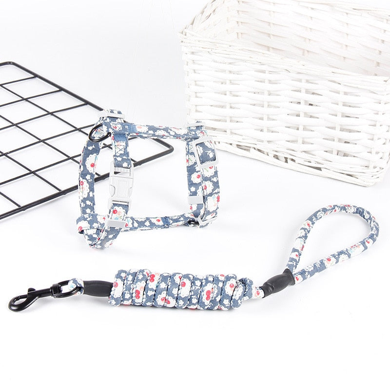 Small Cat Harness - Blue / S