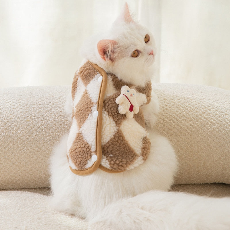Small Clothes for Cats - Clothes for cats
