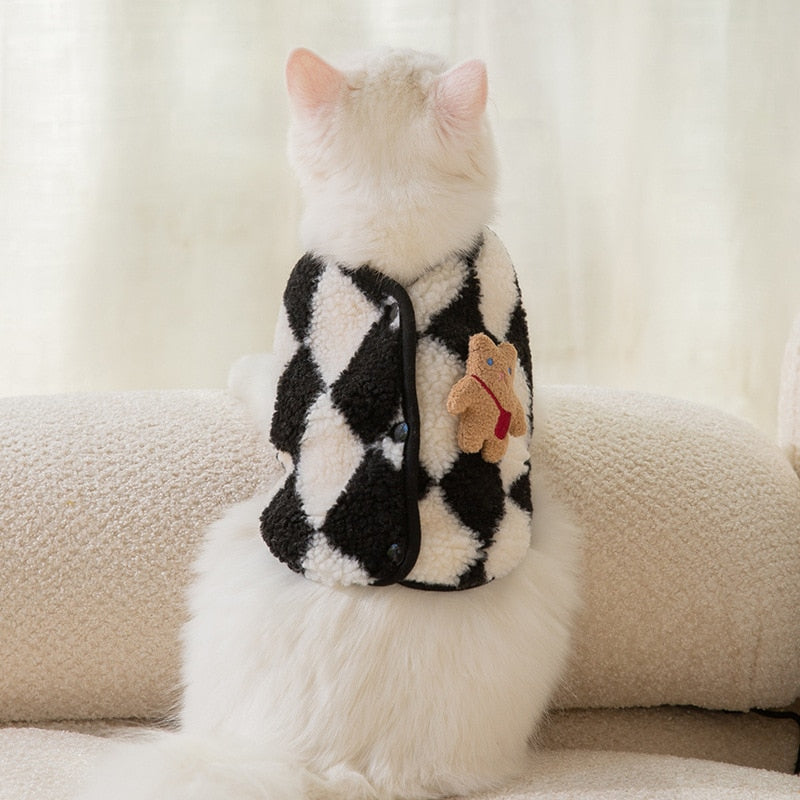 Small Clothes for Cats - Clothes for cats