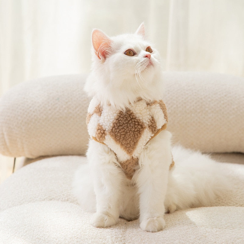 Small Clothes for Cats - Clothes for cats
