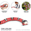 Smart Sensing Snake Cat Toy - Cat Toys