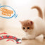 Smart Sensing Snake Cat Toy - Cat Toys
