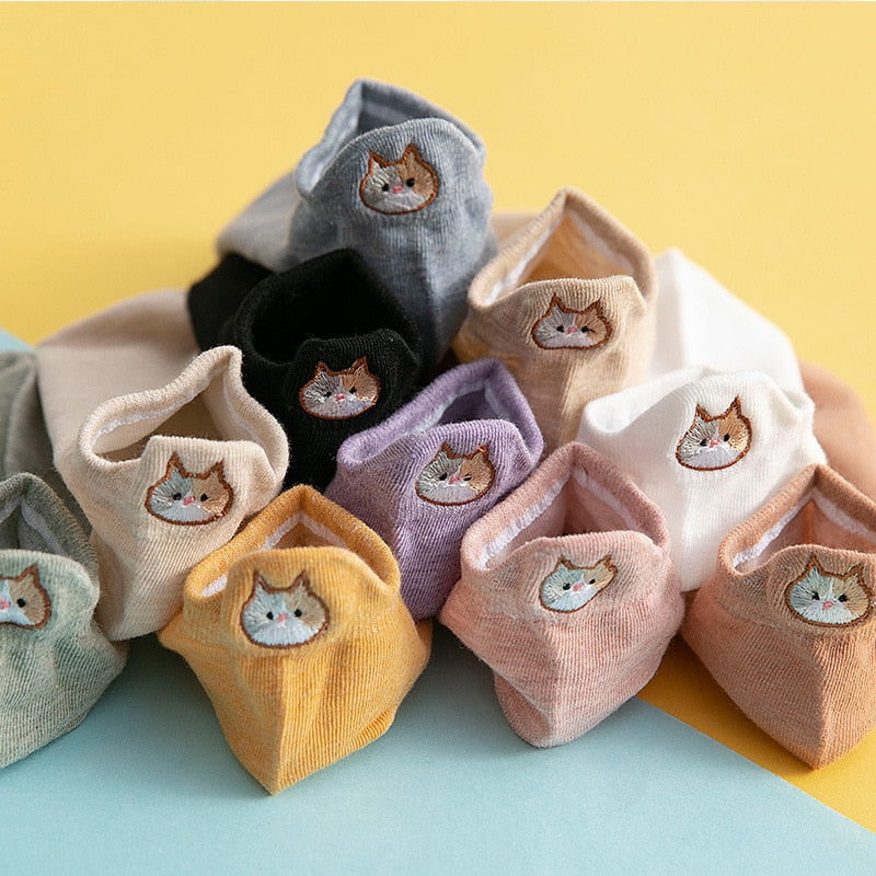 Socks cat - Cat Socks