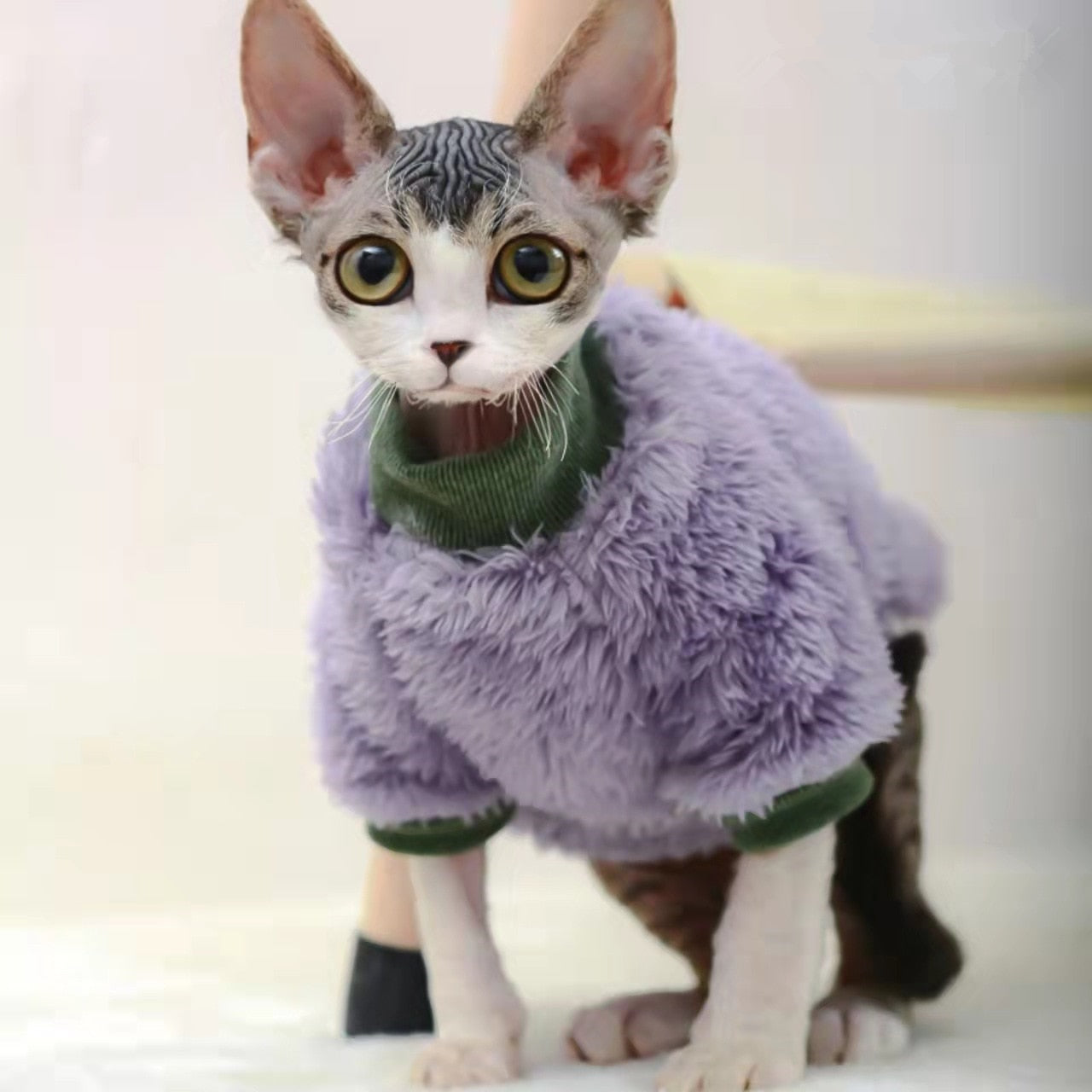 Soft Clothes for Cats - Purple / XS - Clothes for cats