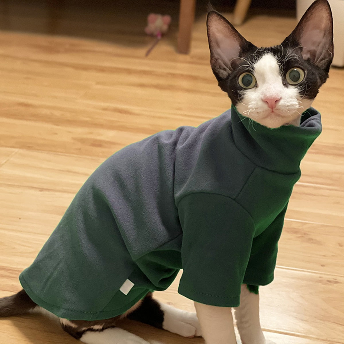 Sphynx Cat Clothes - Clothes for cats