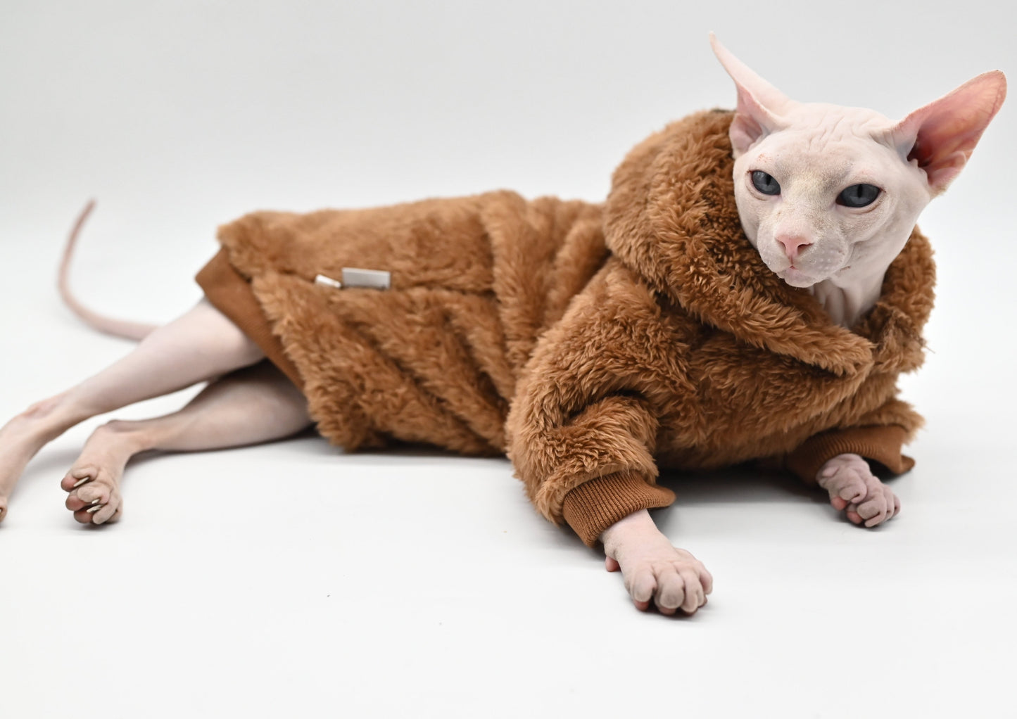 Sphynx Cat Sweater Clothes - Clothes for cats