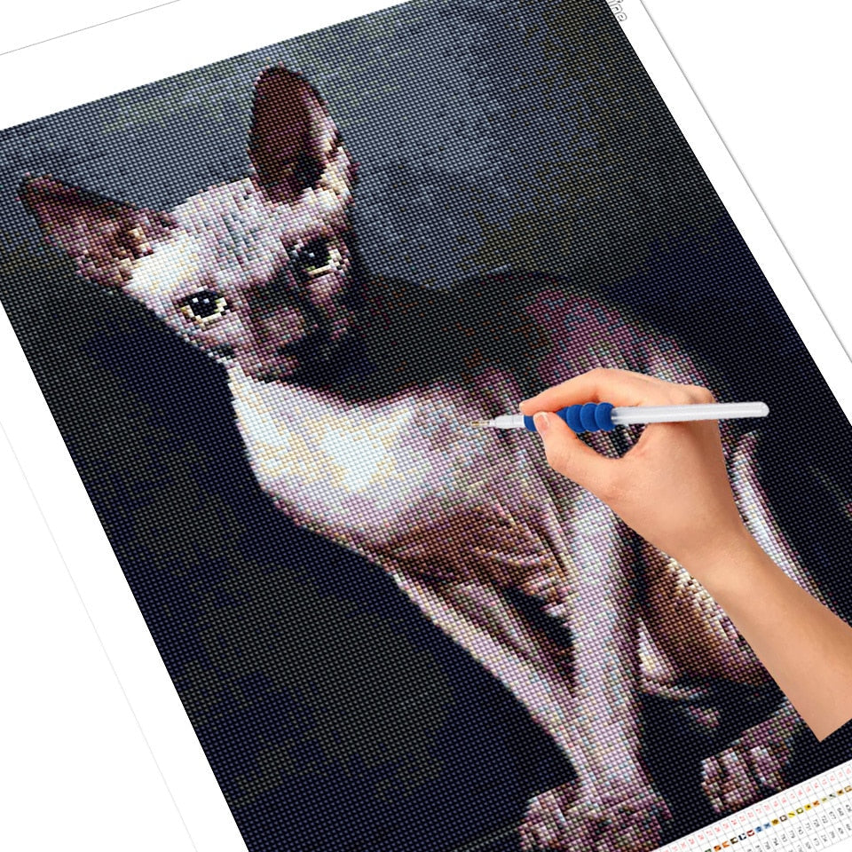 Sphynx Hairless Cat Diamond Painting